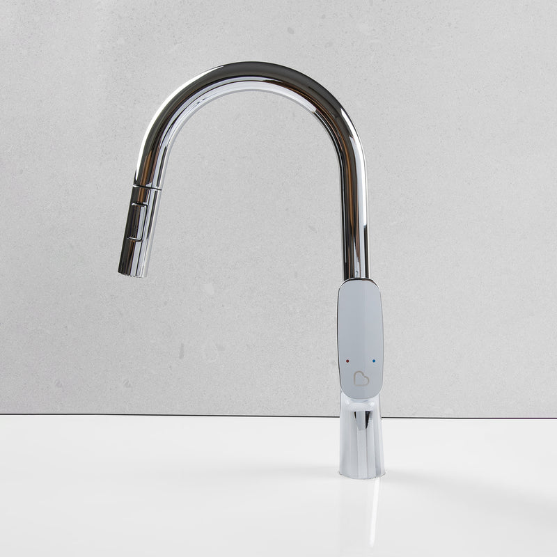 Wilma Pullout Kitchen Mixer