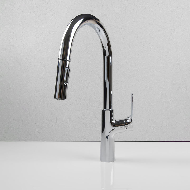 Wilma Pullout Kitchen Mixer