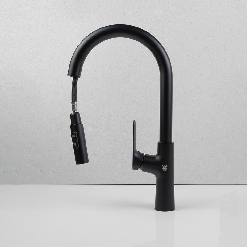 Wilma Pullout Kitchen Mixer