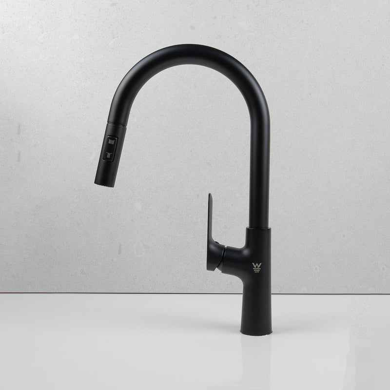 Wilma Pullout Kitchen Mixer