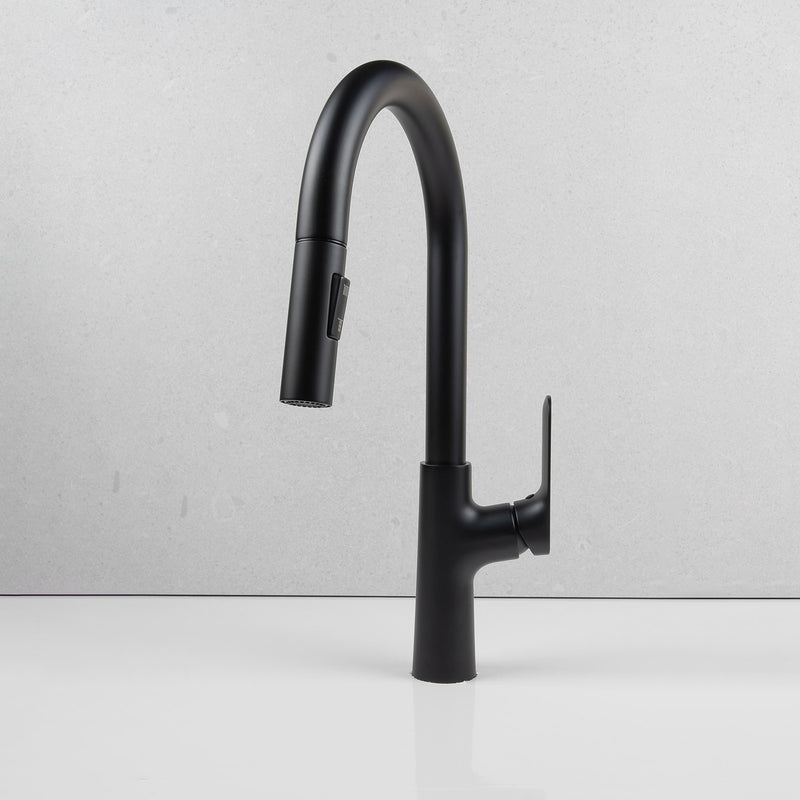 Wilma Pullout Kitchen Mixer