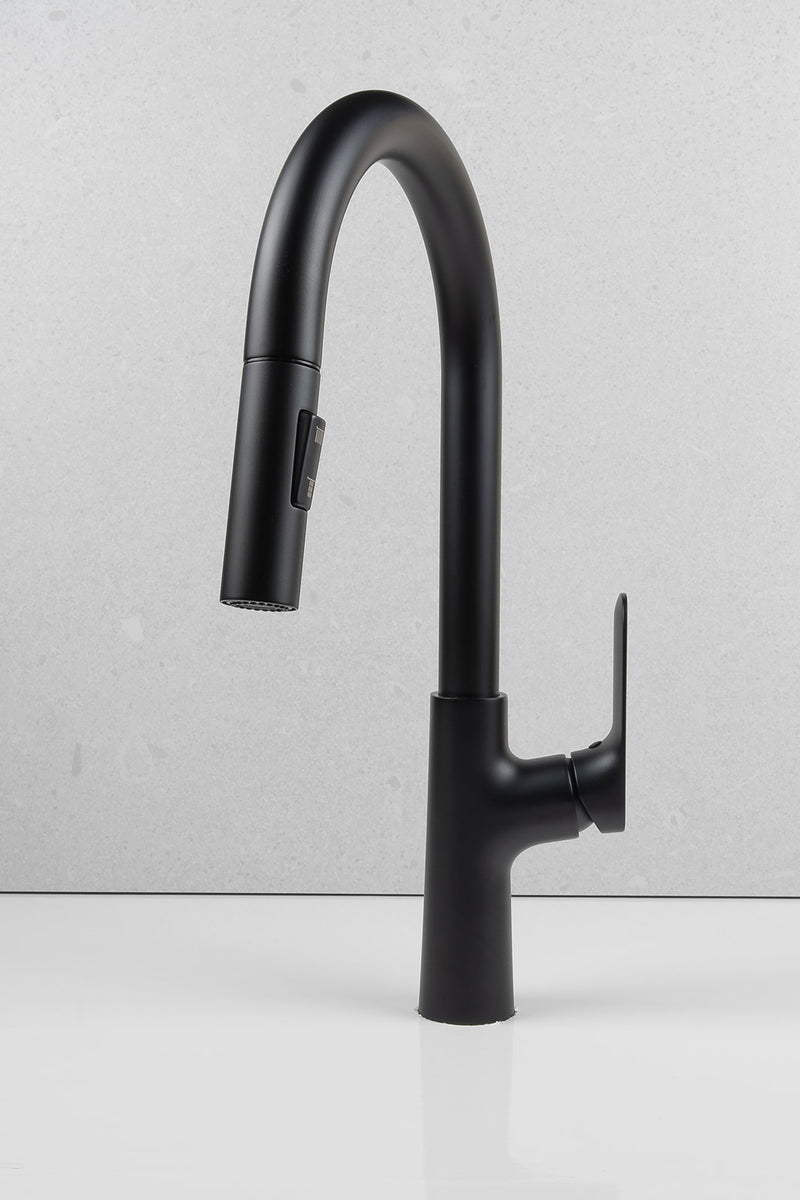 Wilma Pullout Kitchen Mixer