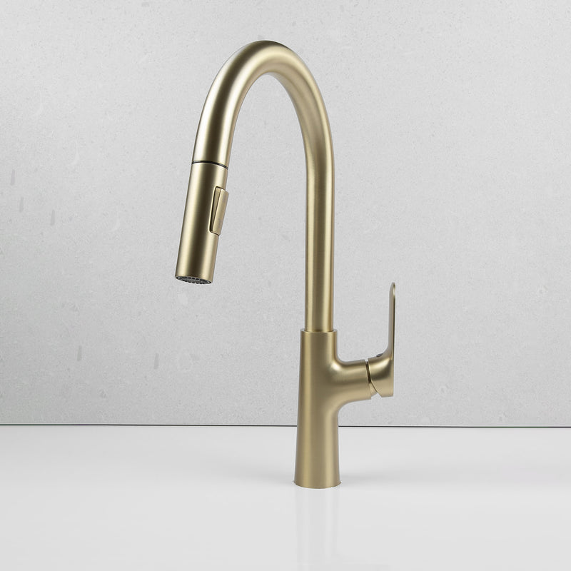 Wilma Pullout Kitchen Mixer