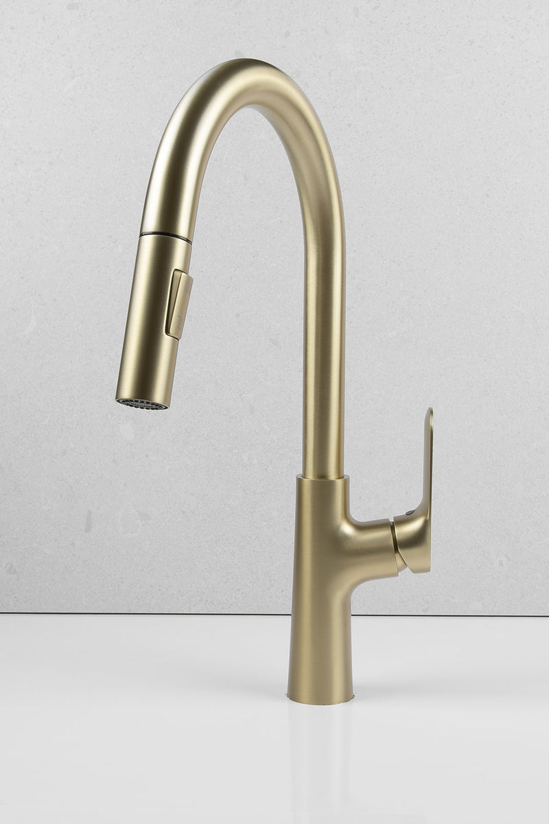 Wilma Pullout Kitchen Mixer