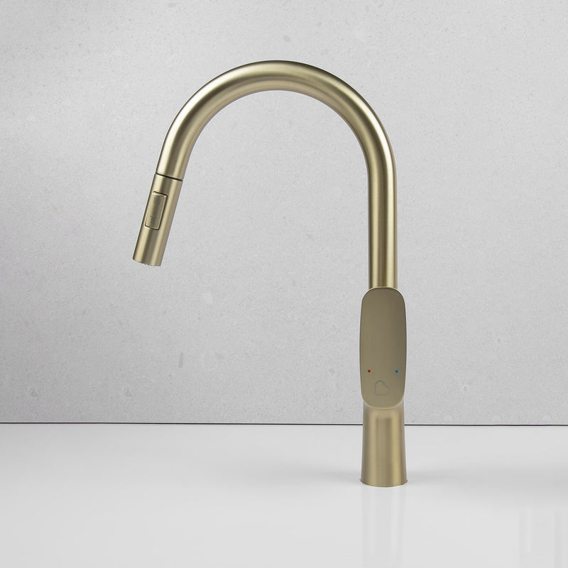 Wilma Pullout Kitchen Mixer