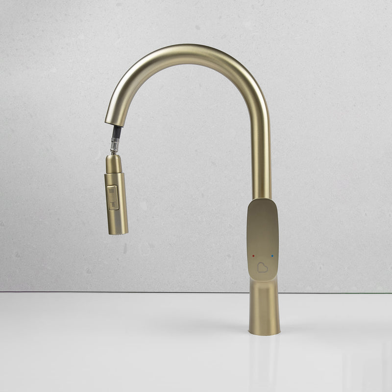 Wilma Pullout Kitchen Mixer