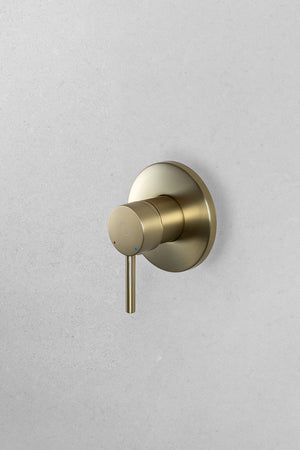 Brushed Brass